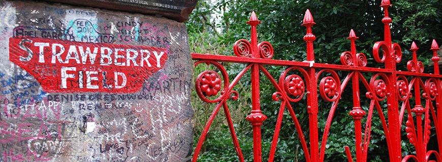 strawberryfields