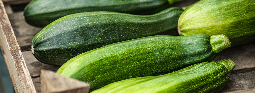 Zucchini