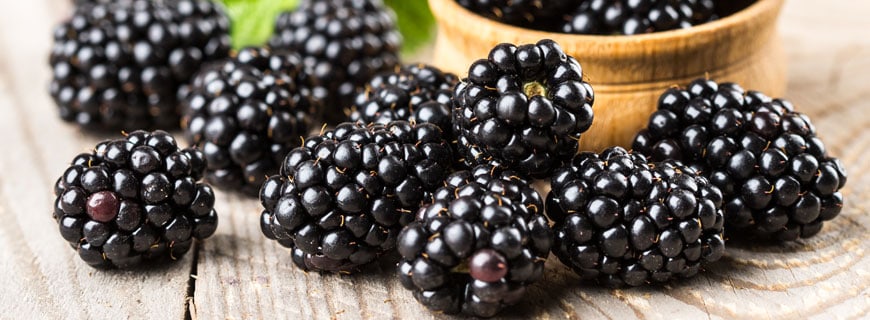 Brombeeren 