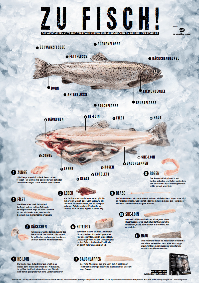 Zu Fisch!
