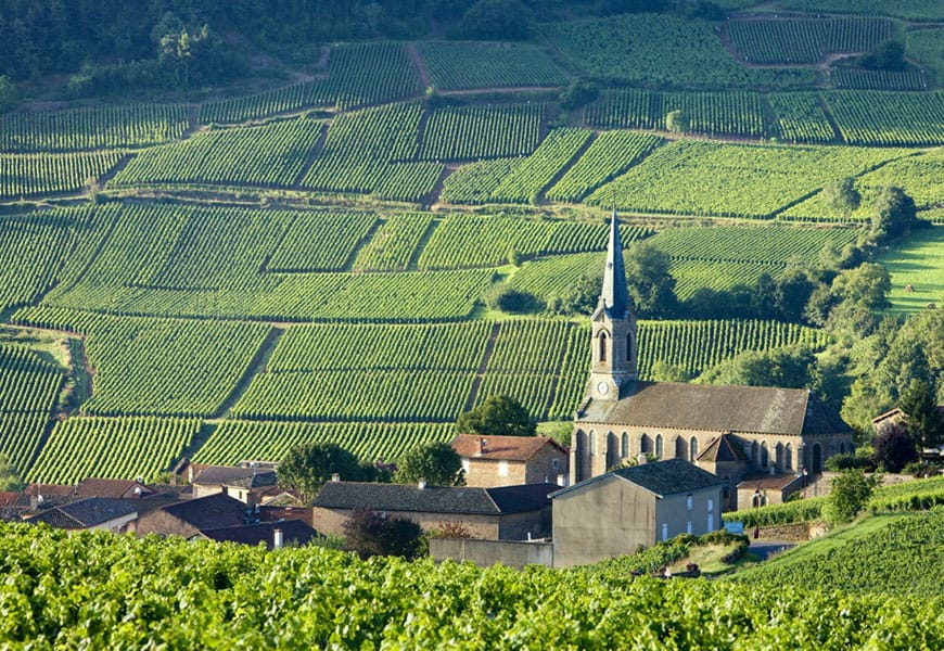 HEADER_Champagne_shutterstock_47894545