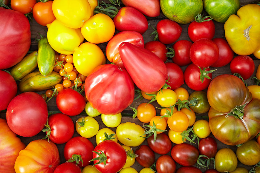 Verscheiden Tomatensorten zusammengewürfelt