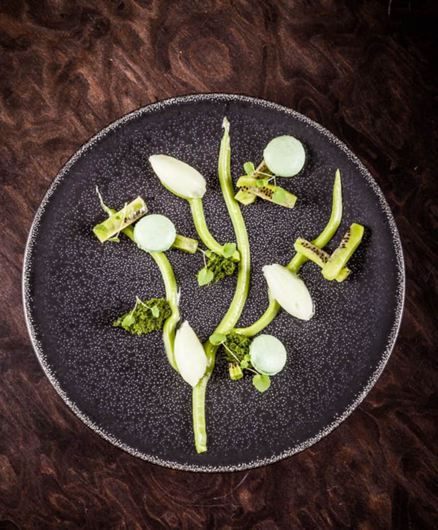 Header_16_Hardiquest_Christophe-bon_bon-Kiwi_Avocado_Gurke