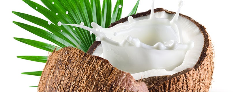 Kokosnuss