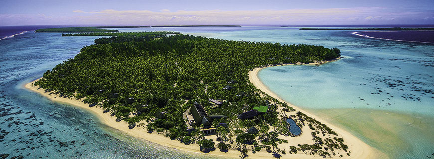 The Brando The Brando