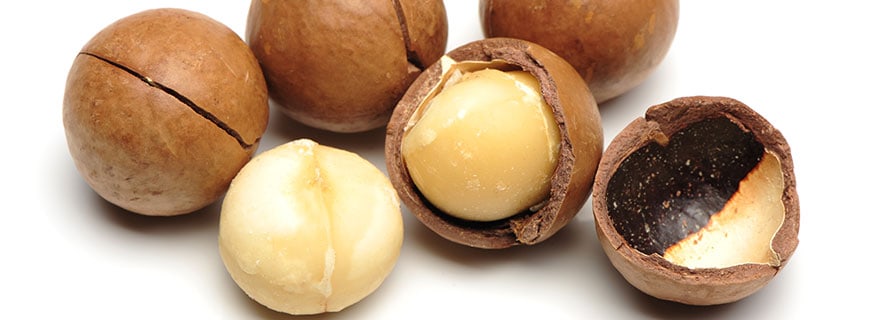 Macadamia-Nüsse
