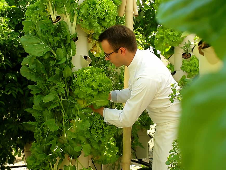 Urban Farming