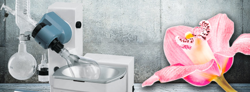 Geschmack durch künstliche Aromen