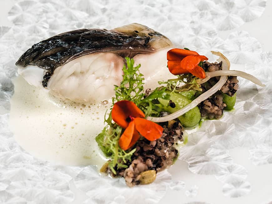 Karpfen aus der Blase mit Rettich, Käferbohnen und Verjus