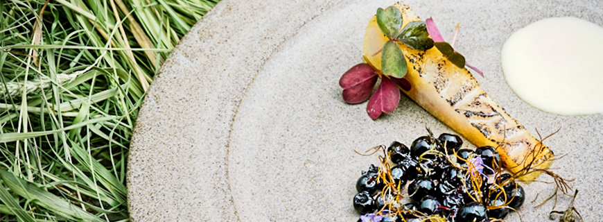 Blaubeeren mit Strahlenlose-Kamille-Kuchen, Blumenkohl-Stiel-Püree und Echte Mädesüß