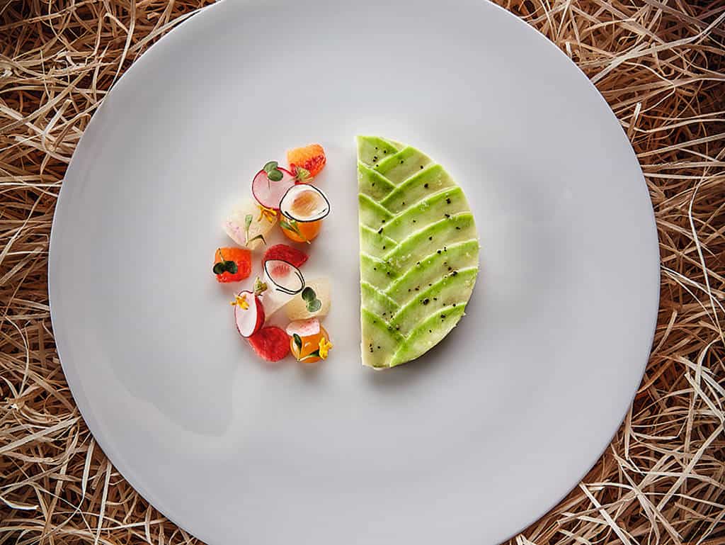 Meeresspinne | Avocado | Zitrusfrüchte | Koriander | Radieschen Weißer Teller mit kreisförmig angerichteter Meeresspinne | Avocado | Zitrusfrüchte | Koriander | Radieschen