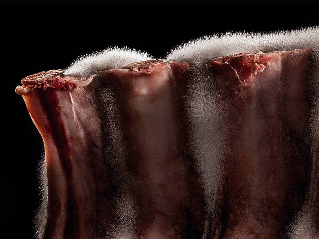 Schimmelgereiftes Luma-Beef