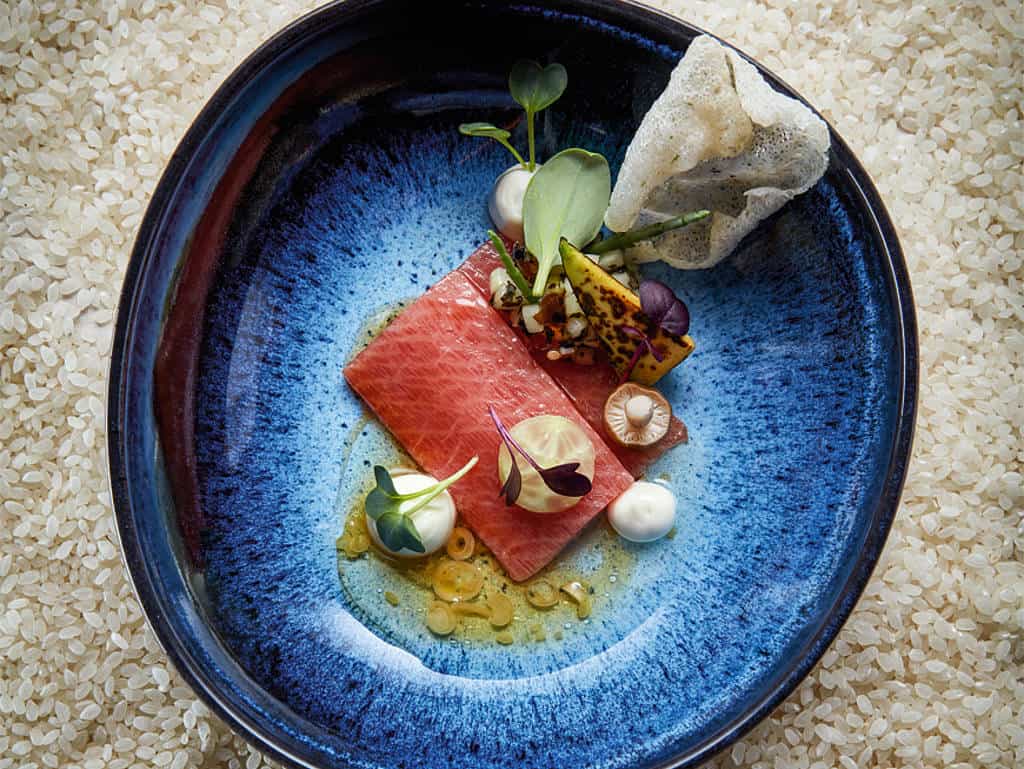 Blauer Teller mit Tunfisch und schöner Garnitur