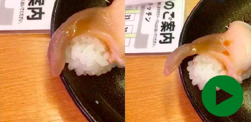 Lebendes Sushi spaltet das Netz