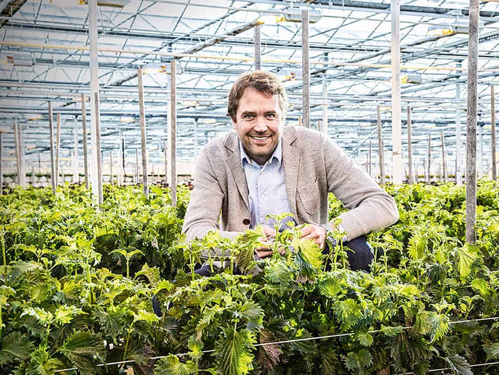 Marc Bonsmann Marc Bonsmann