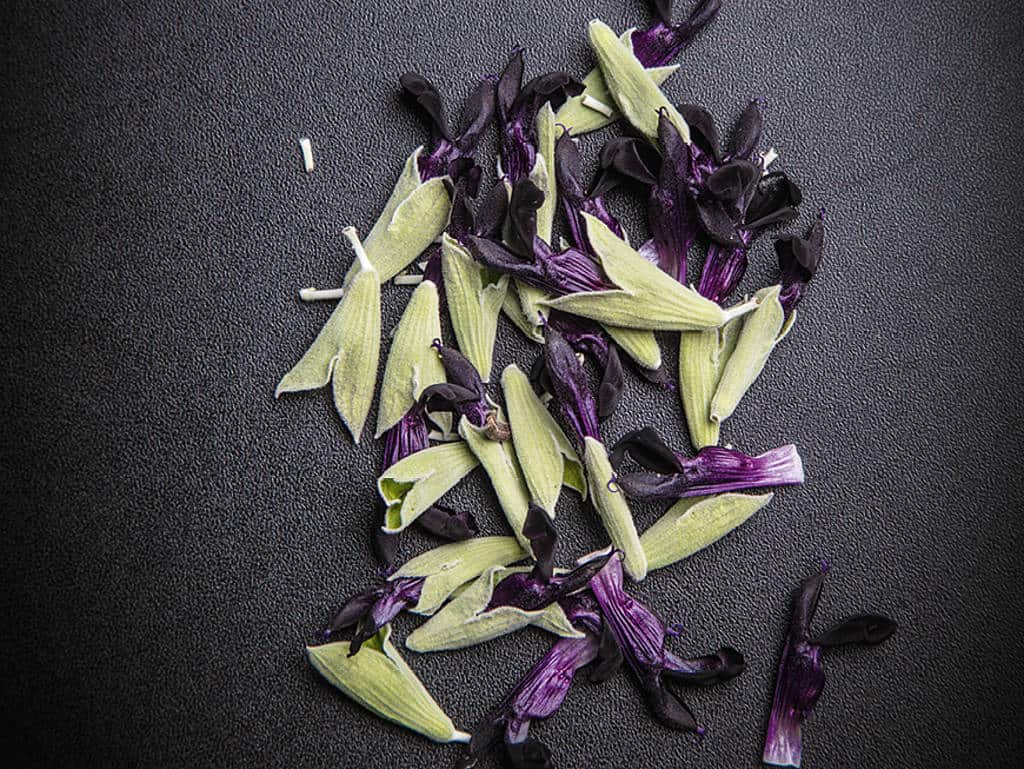 Wie schmeckt eigentlich ... Purple Delight?