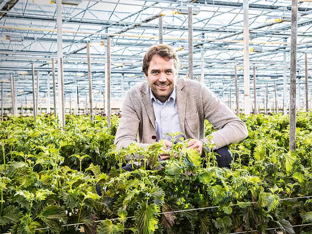 Marc Bonsmann, Country Manager D|A|CH von Koppert Cress Marc Bonsmann, Country Manager D|A|CH von Koppert Cress