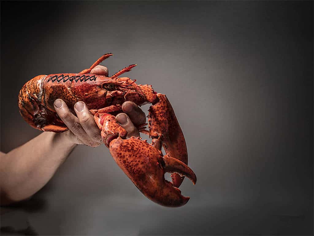 Meerestiere sind beliebte Produkte für Nachmacher: Mit gehäckselten Fischabschnitten und ein bisschen Farbe lassen sich Krebsfleisch oder Hummer herstellen. Auch Lachs wird durch preisgünstigere Produkte und Lebensmittelfarbe gerne imitiert.