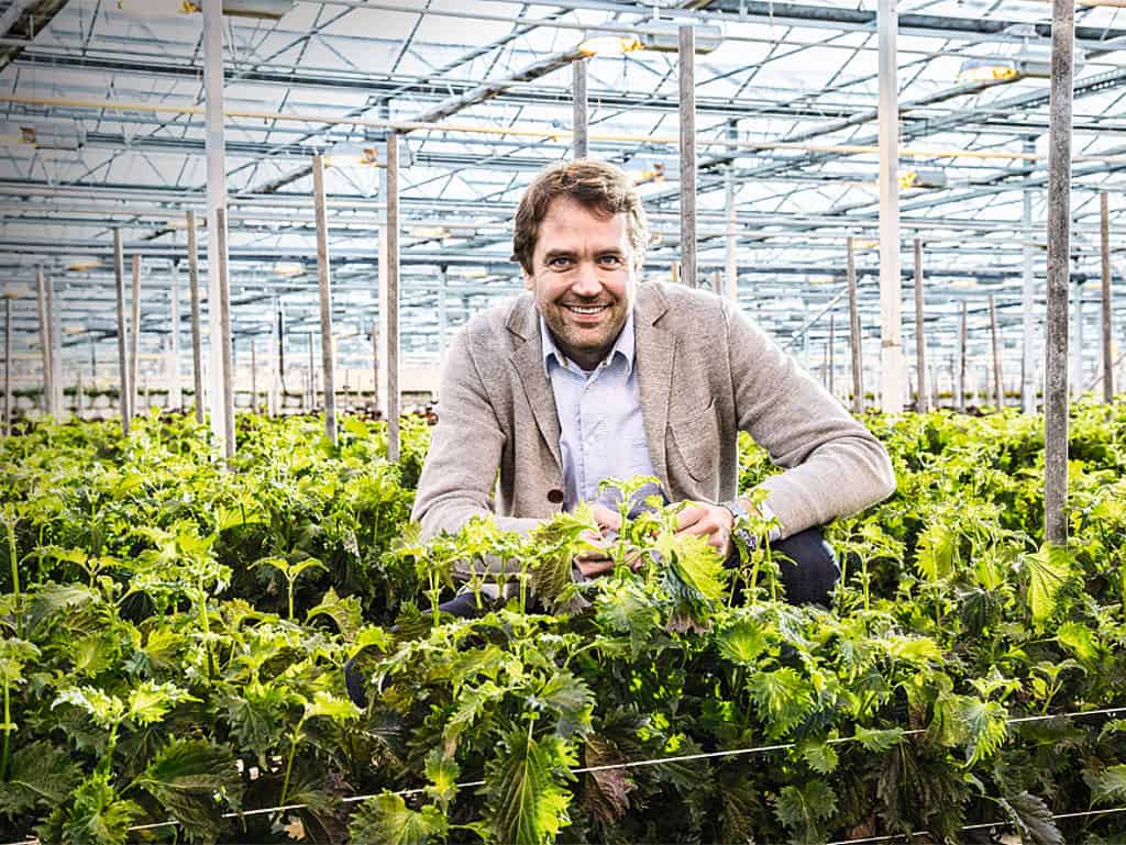 Marc Bonsmann, Koppert Cress Country Manager DACH 