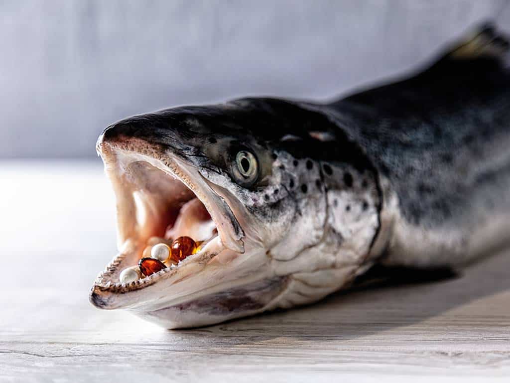 Lachs mit offenem Maul und Medikamenten darin