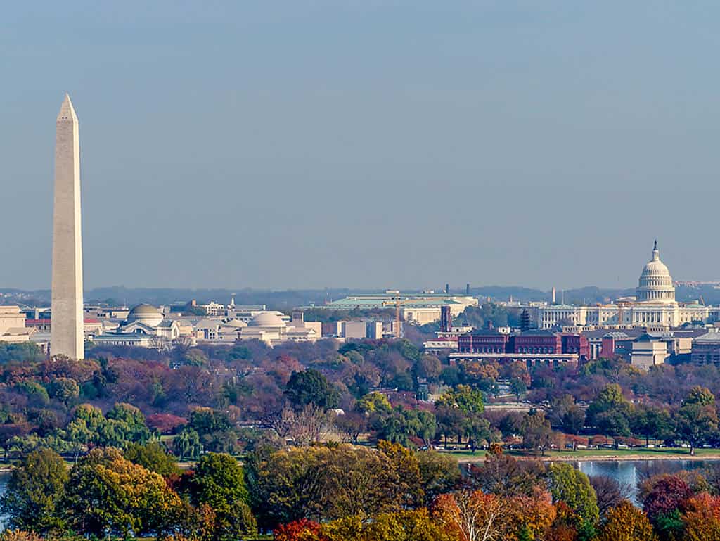 Washington DC 