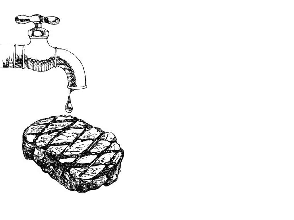 Fleisch waschen – ja oder nein? 