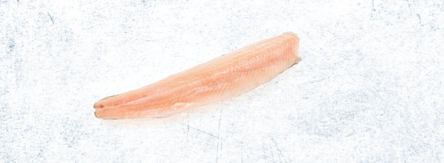 Filet cuts-06-header