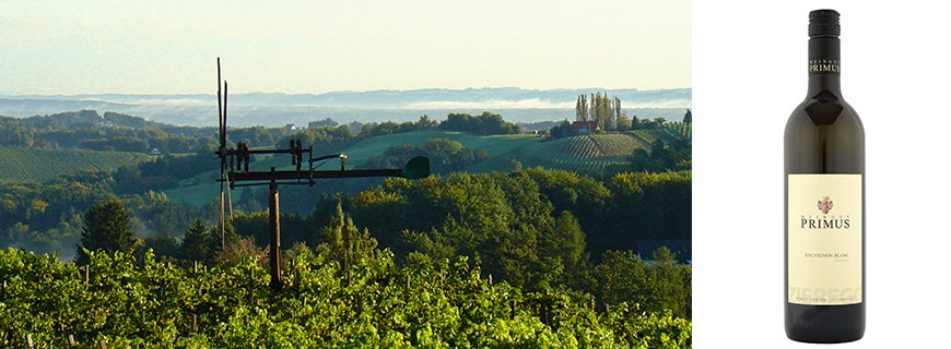 steirischer Spitzenwein steirischer Spitzenwein