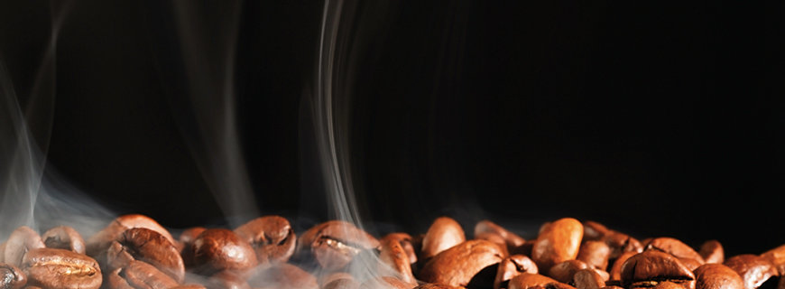 Das schwarze Gold Das schwarze Gold - Kaffeelehre