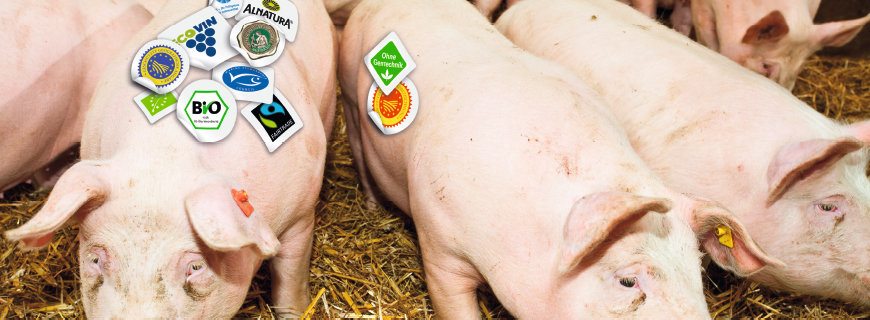 Gütesiegel neue Gütesiegel am Lebensmittelmarkt