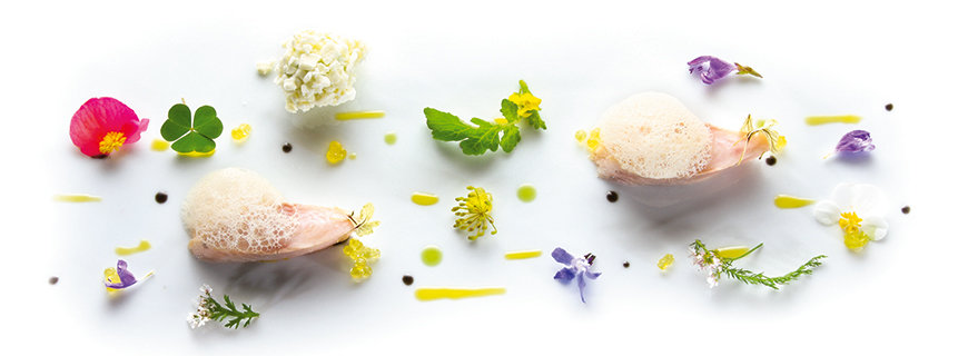 Die Blüten der Kochkunst Die Blüten der Kochkunst