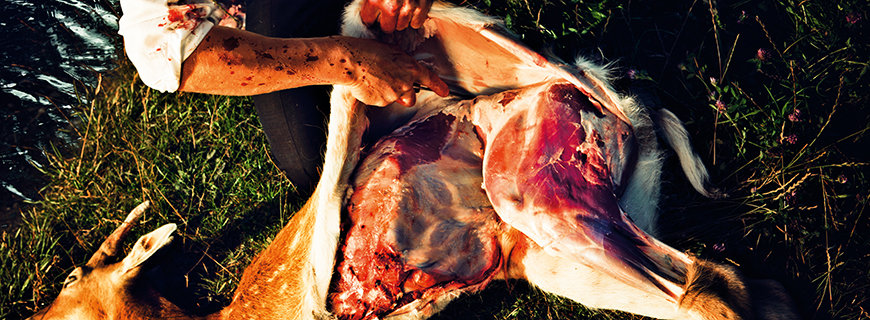 Urzeit-Futter-Trend Paleo