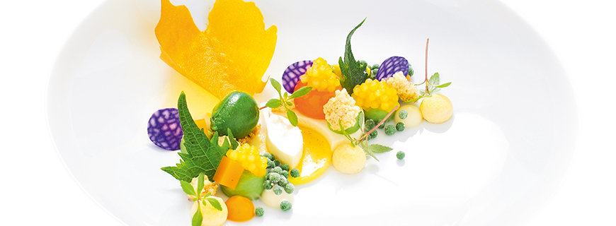 Innovative Techniken mit Sorbet