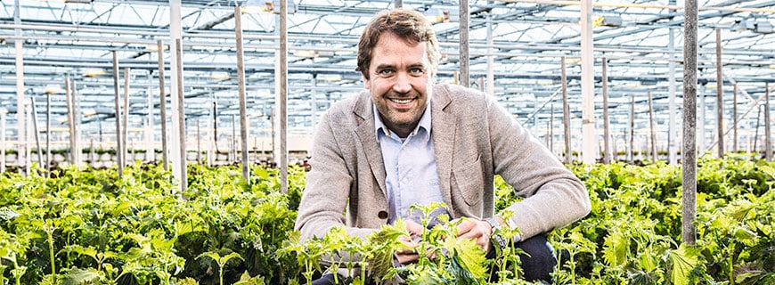 Marc Bonsmann von Koppert Cress sitzt im Gewächshaus