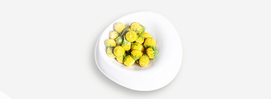 Sechuan Buttons von Koppert Cress in einer weißen Schale