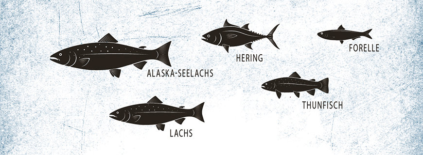 Die fünf beliebtesten Speise-Fische in Deutschland fische-grafiken-05-header