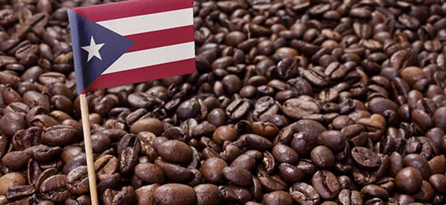 flagge