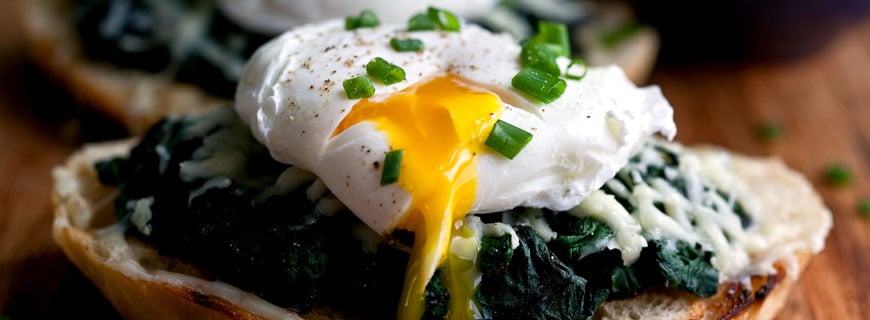 foodporn-new-header