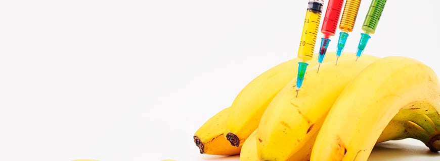 Welche Lebensmittel machen high