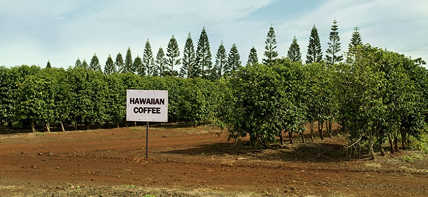 hawai