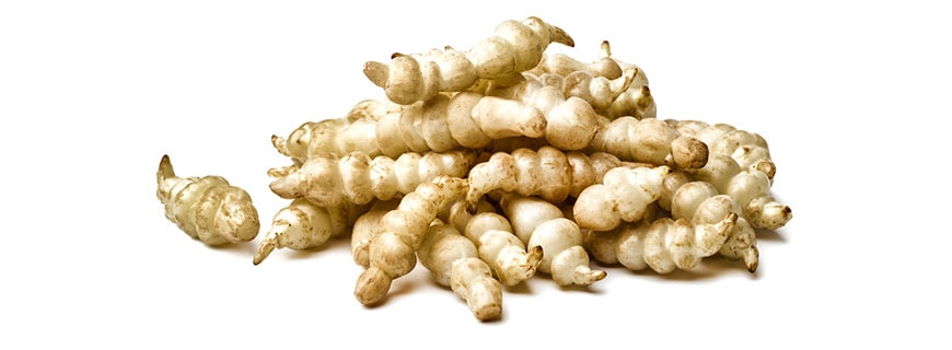 Stachys Stachys