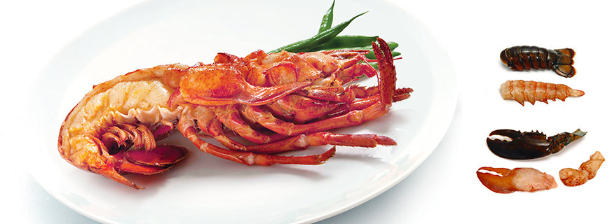 Seafood-Spezialist FrischeParadies High Pressure Lobster