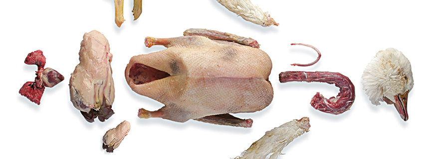 Foie Gras, eine Delikatesse Foie Gras, eine Delikatesse