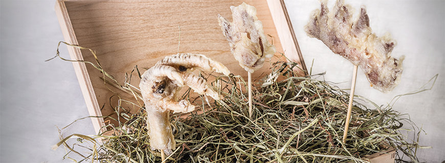 Knusprige Hühnerkämme und -krallen Rezept für Knusprige Hühnerkämme und -krallen