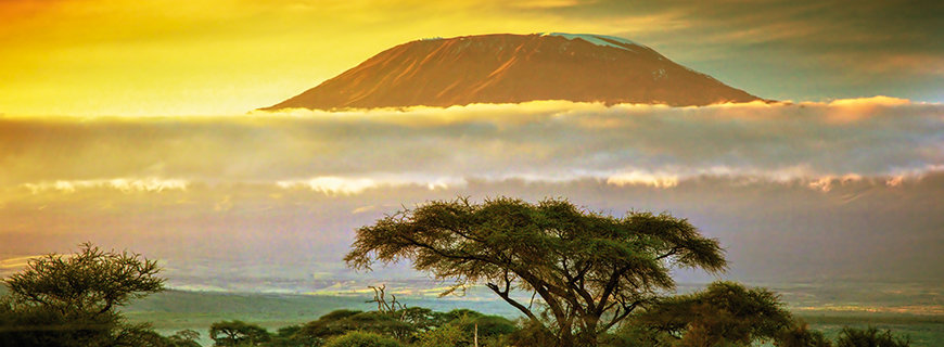 Jobsafari in Kenia