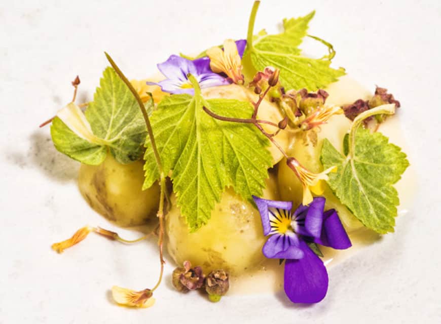 Frühkartoffeln und junge Johannisbeeren