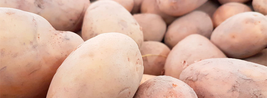 kartoffeln-header