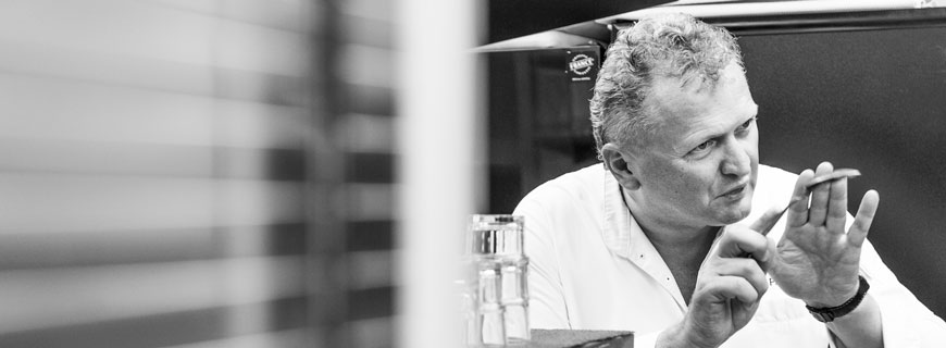 knogl-new-header