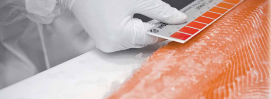 lachs-new-header