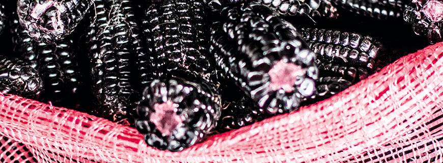latino-food-header